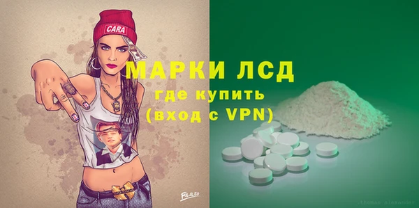 стаф Волосово