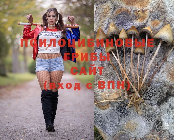 трава Гусиноозёрск