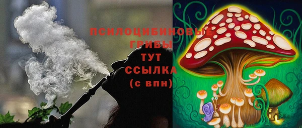 трава Гусиноозёрск