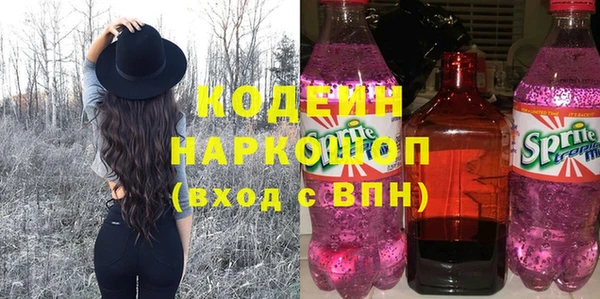 ГАЛЛЮЦИНОГЕННЫЕ ГРИБЫ Гусь-Хрустальный