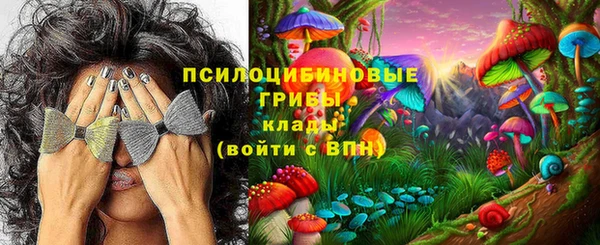 ГАЛЛЮЦИНОГЕННЫЕ ГРИБЫ Гусь-Хрустальный