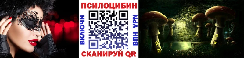 Псилоцибиновые грибы GOLDEN TEACHER Дмитровск
